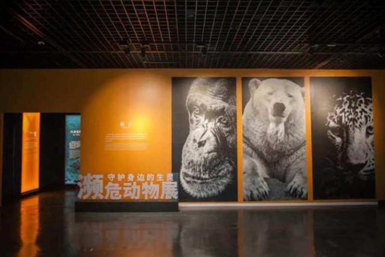 中国湿地博物馆濒危动物展展览图